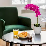 Cozy Apartment - Marais - Saint Martin VI